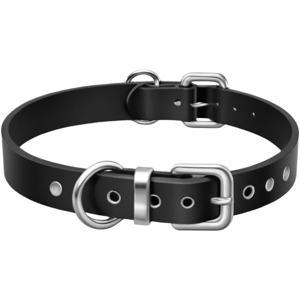 Collar – black leather with silver O-ring. emoji