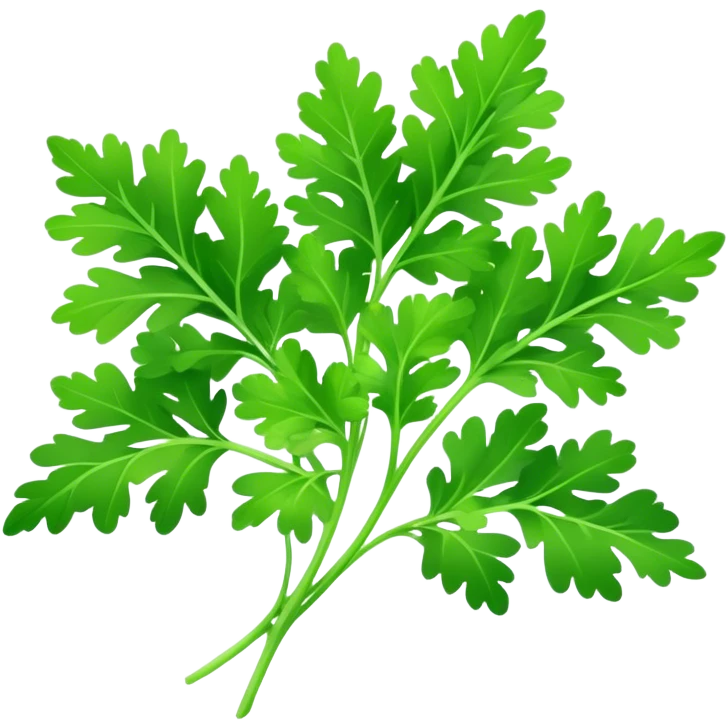 Cinematic Realistic Parsley Emoji, Fresh and vibrant, with bright green, frilly leaves that seem to shimmer with vitality. The plant exudes a sense of healthy growth and aromatic zest, inviting both beauty and flavor into any dish. Soft glowing outline, capturing the essence of freshness, health, and culinary delight in a sprig of parsley! emoji