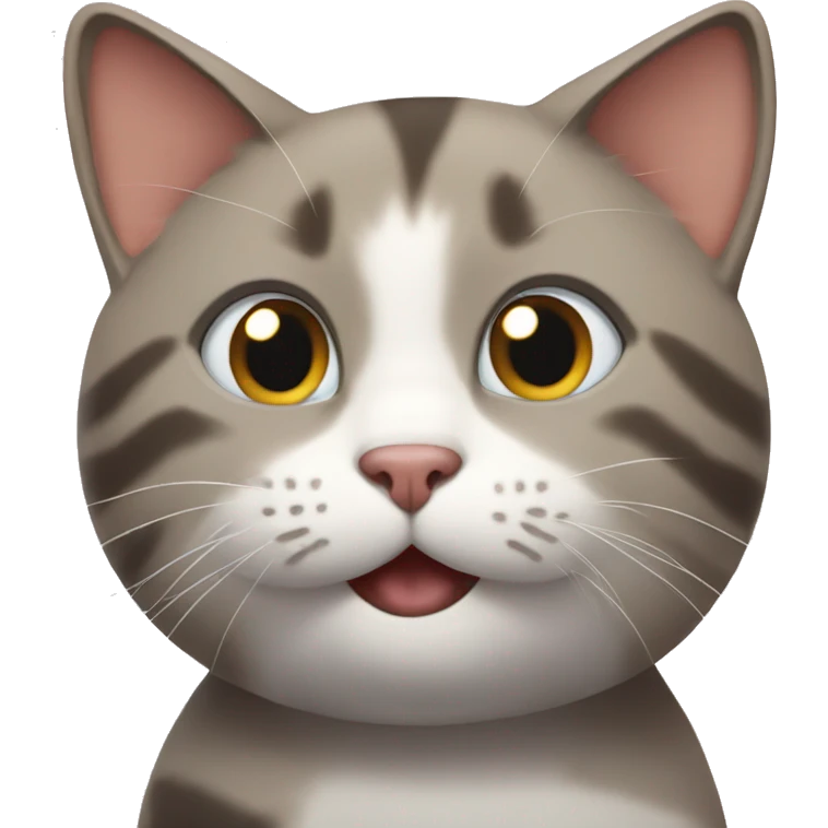 a cat saying hi emoji