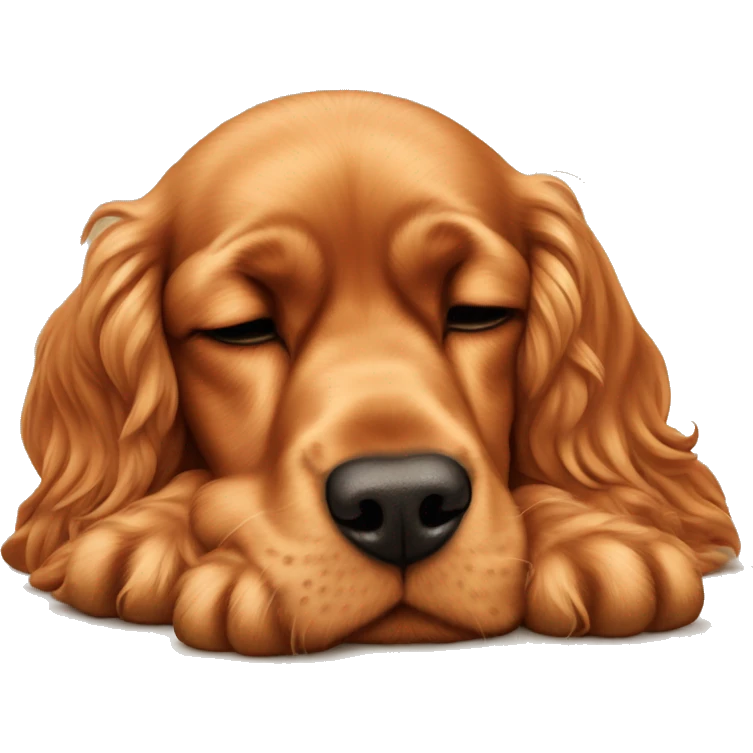 Ginger Cocker spaniel sleeps  emoji