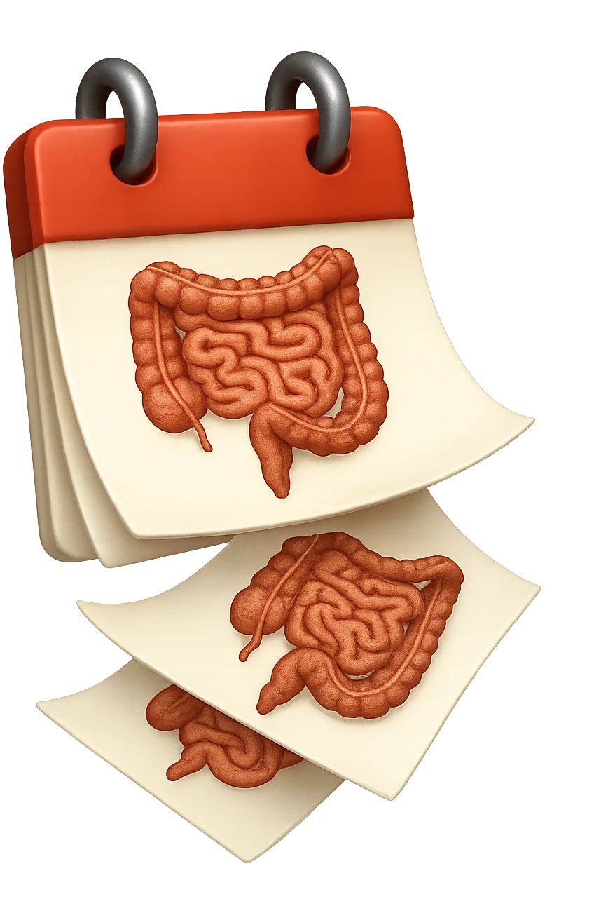 emoji stile iphone di un calendario con fogli che volano insieme, sui fogli ci sono disegnati degli intestini anatomici, iperrealistico 4k, isolato su sfondo bianco emoji