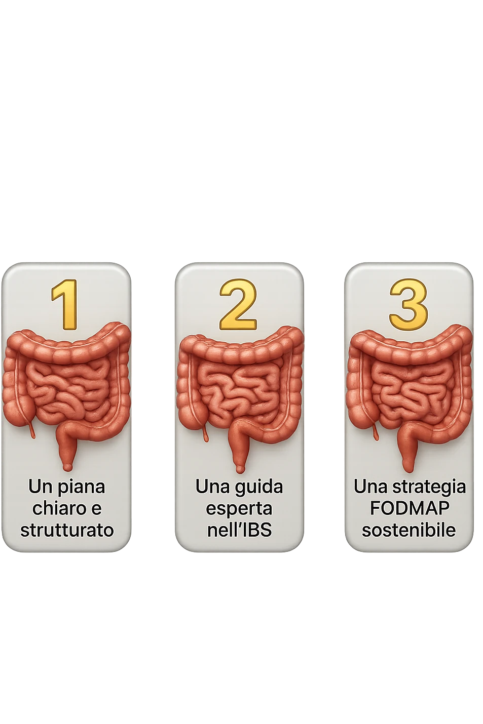 emoji stile iphone di 3 targhette numerate con intestino realistico davanti ad ogni targhetta, le targhette sono:
"1 – Un piano chiaro e strutturato
2 – Una guida esperta nell’IBS
3 – Una strategia FODMAP sostenibile"
, iperrealistico 4k emoji