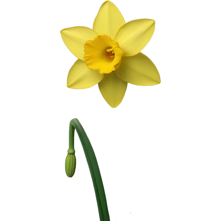 narcissus emoji