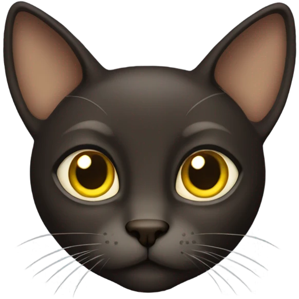 Dark brown cat with yellow eyes and big ears and long nose  emoji