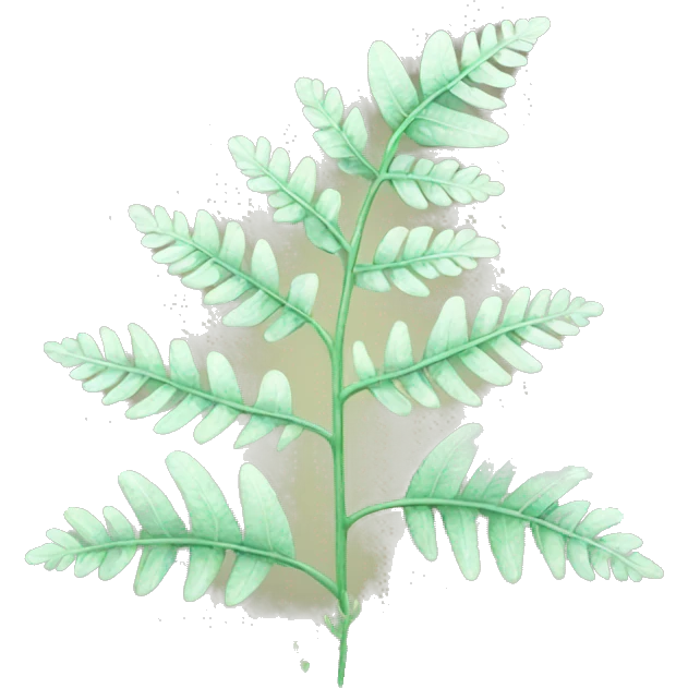Lacy fern emoji