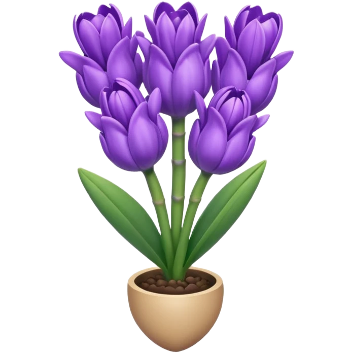 Heart Shaped Hyacinth emoji