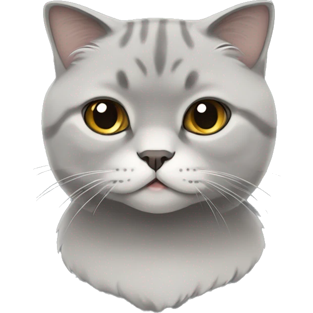 Grey Scottish fold cat  emoji