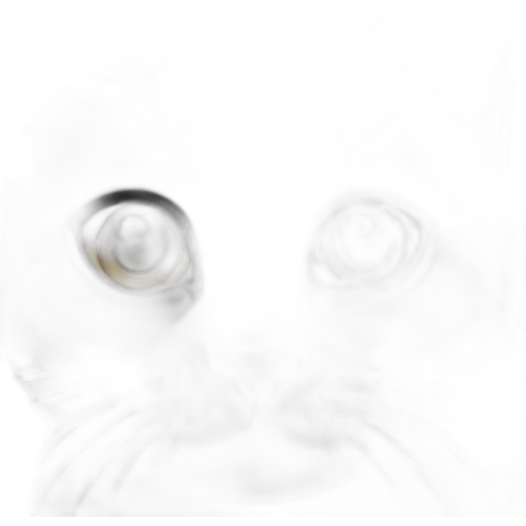 black british shorthair cat with small ears emoji
