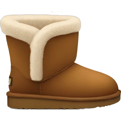 Ugg slippers in Brown  emoji
