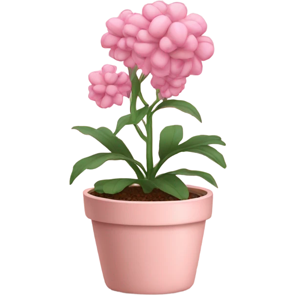 Pink plant in pale pink pot emoji