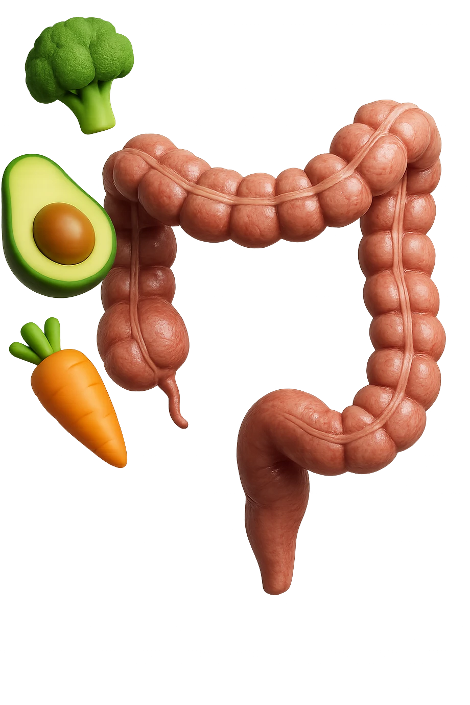 emoji stile iphone in 3d di cibo sano che fluttua in aria vericalmente insieme a pezzi di colon umano anatomico, iperrealistico 4k emoji