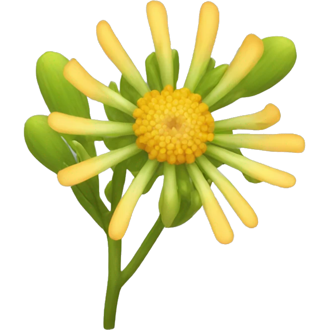 Thelesperma flower emoji