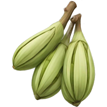 Cardamom  emoji