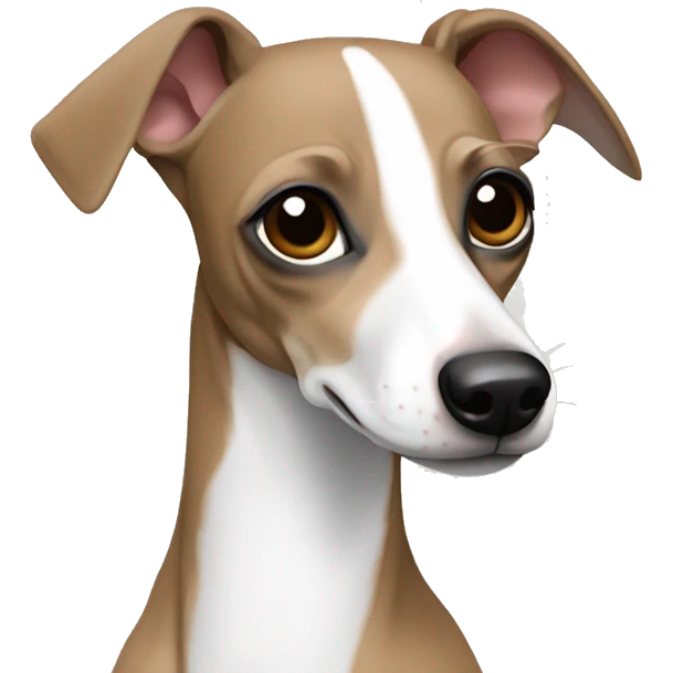 Italian greyhound fawn and white  emoji