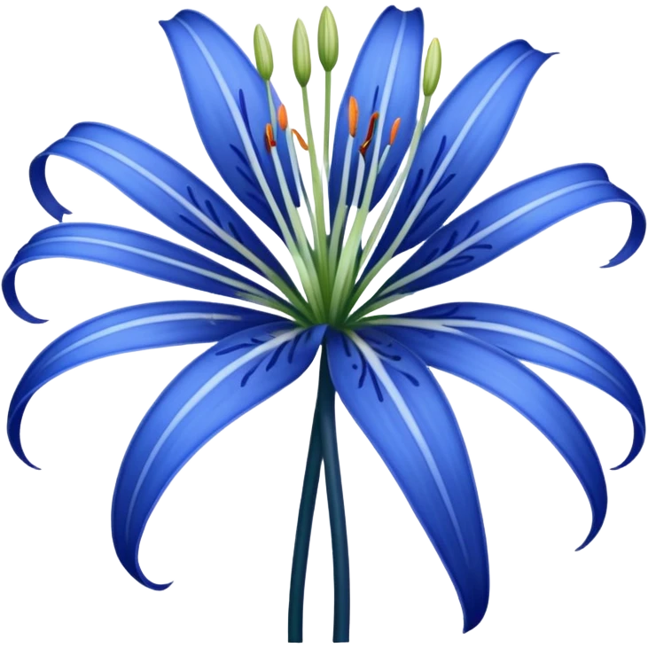Blue spider Lily  emoji