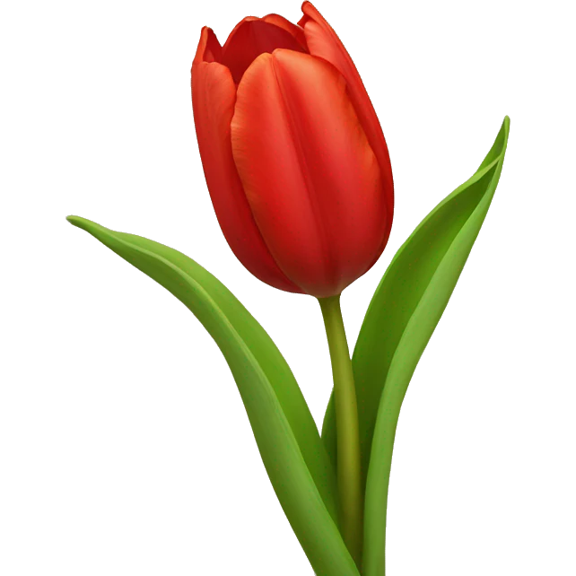 Red Tulip emoji