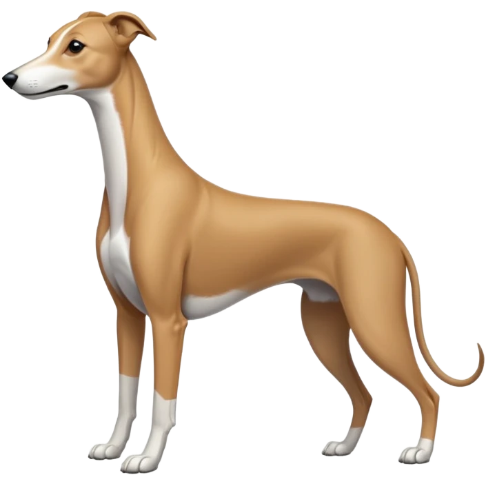 Greyhound  emoji