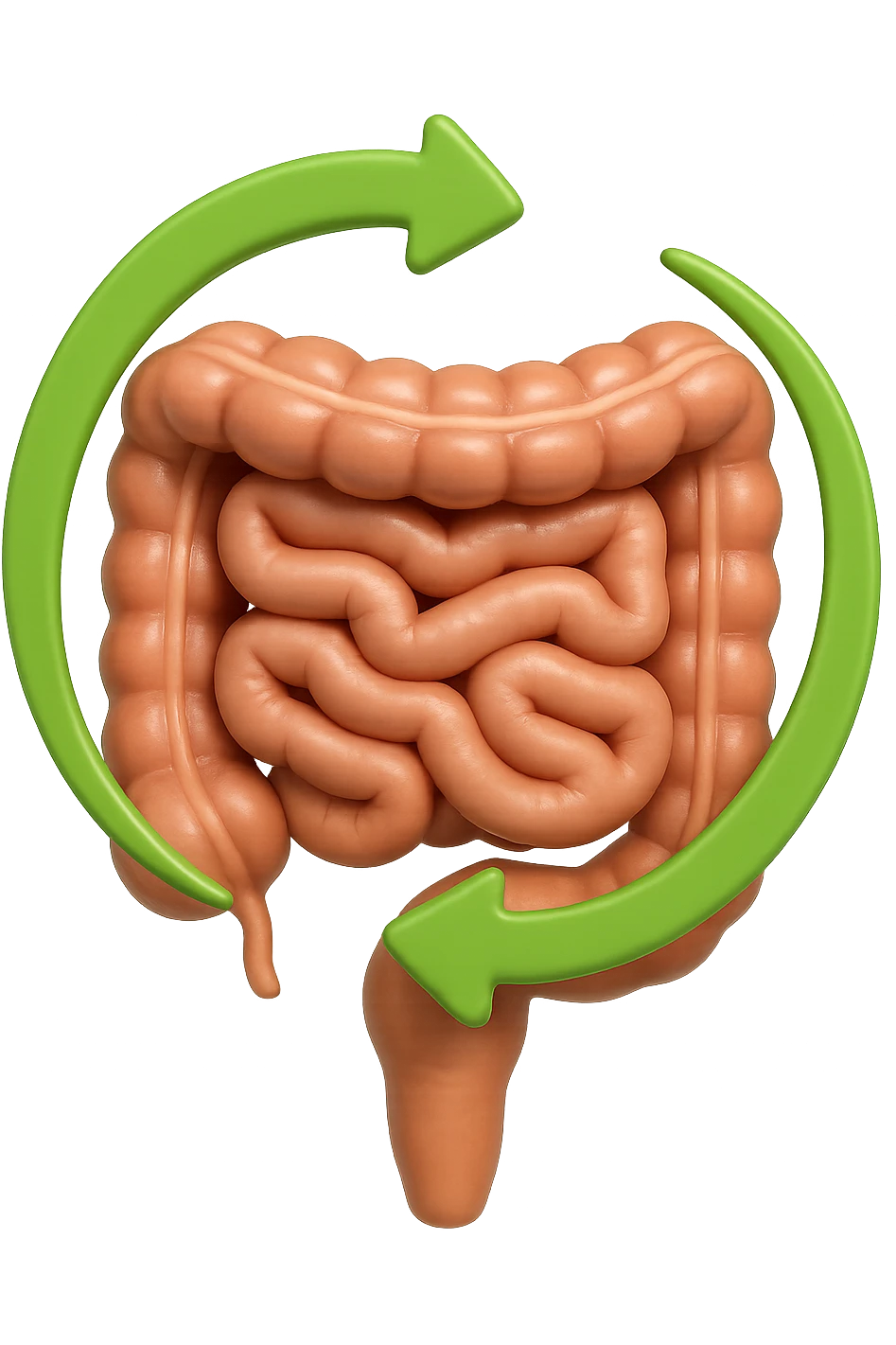 emoji 3d stile iphone di un intestino che si rigenera 3d emoji