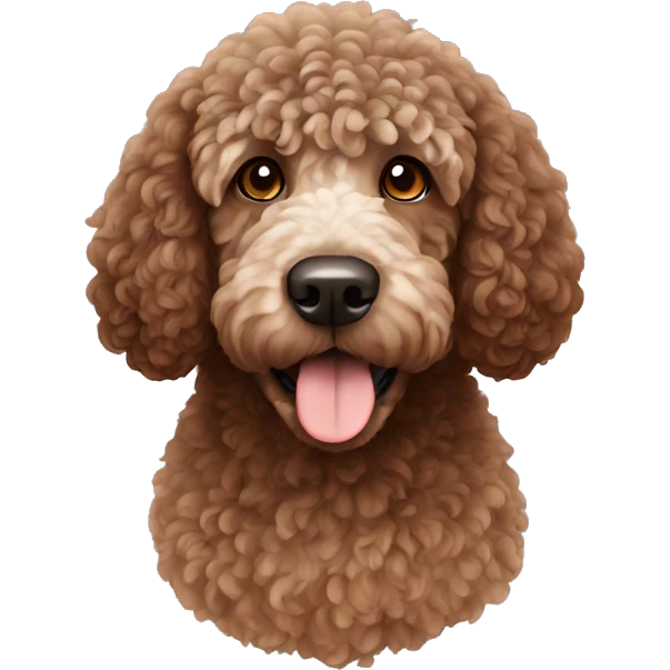 Brown Spanish water dog  emoji