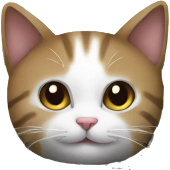 cat on keyboard emoji