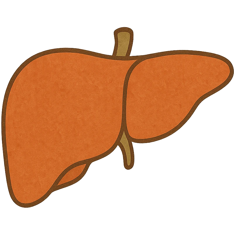 liver emoji