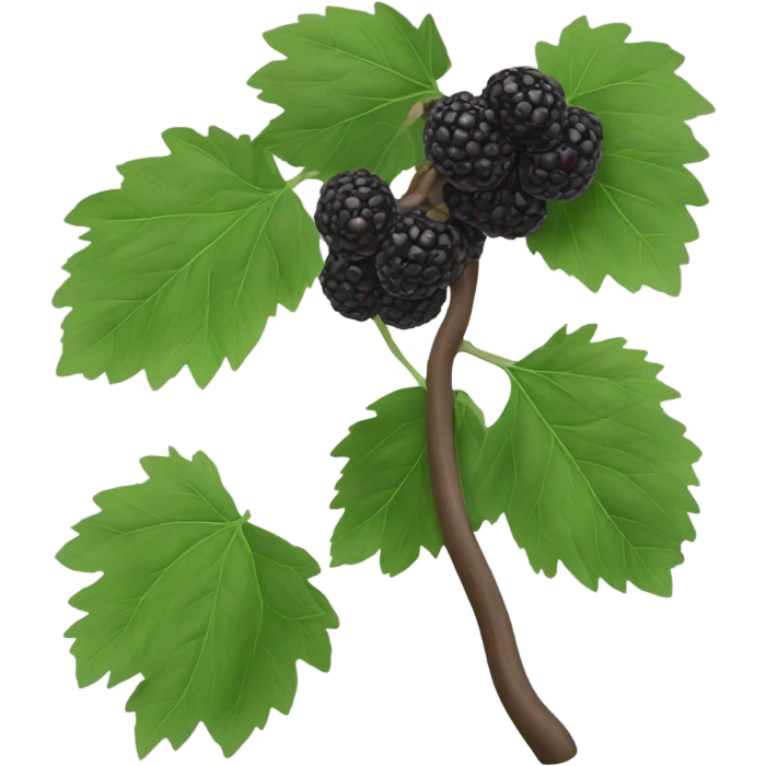 one black mulberry emoji