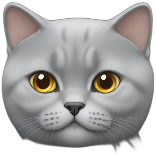 british shorthair emoji