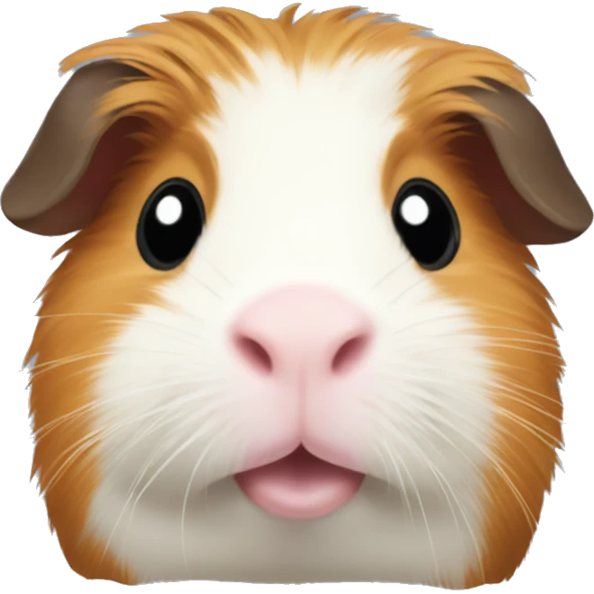 Guinea pig  emoji