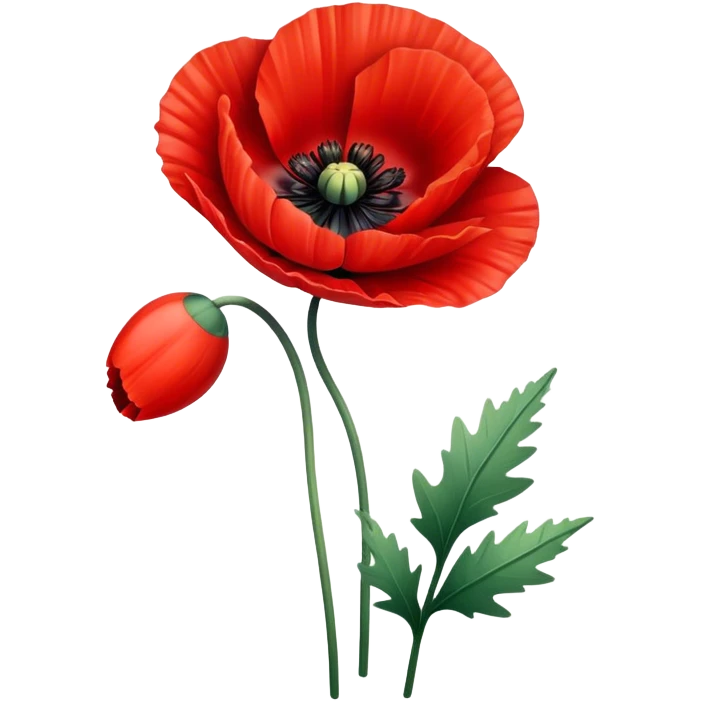poppy  emoji