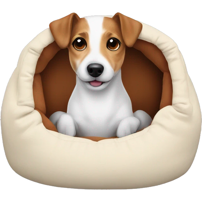 Jackrussell comfy in dog bed emoji
