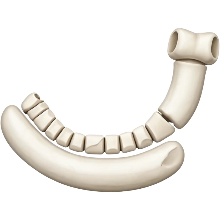 Detached jawbone lying cracked on the ground. emoji