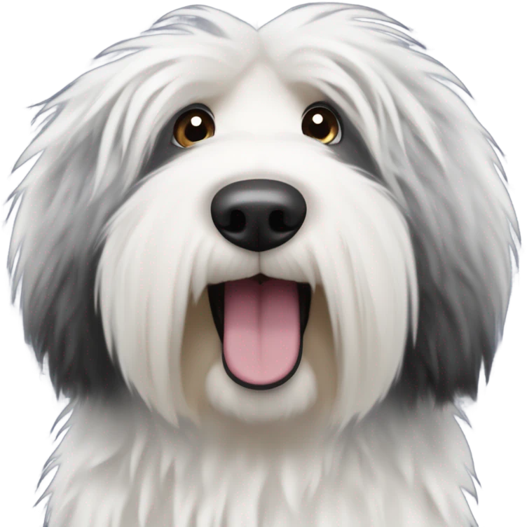 Blue eyed old English sheepdog  emoji