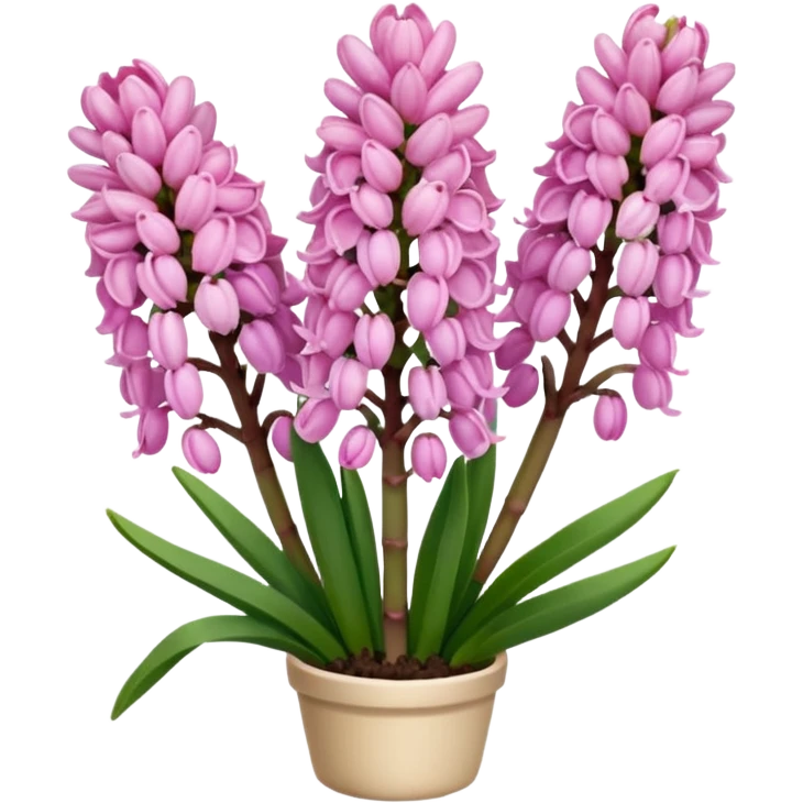 Pink hyacinth emoji