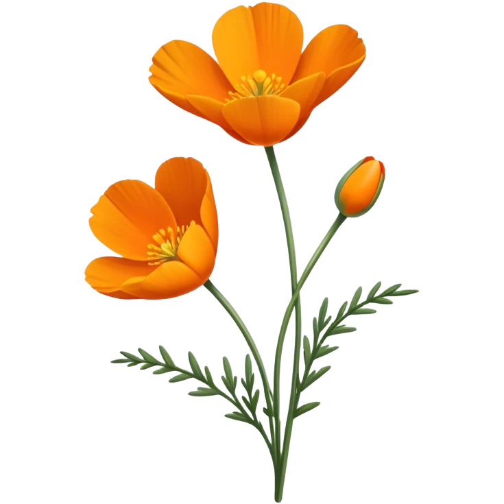 single Eschscholzia californica, straight stem emoji
