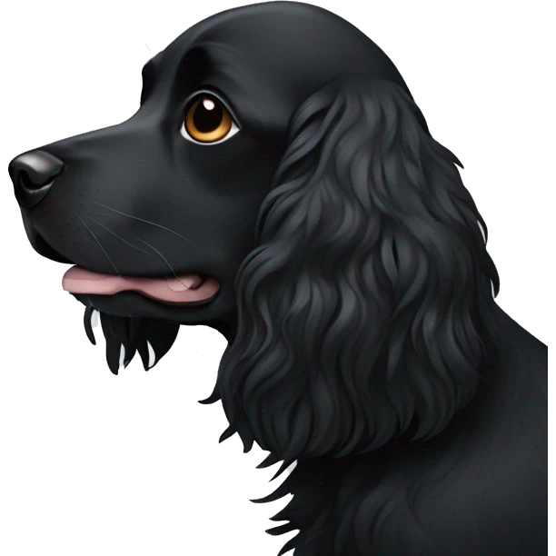 Small completely black spaniel with black fur on his whole face and white fur only on his chest emoji