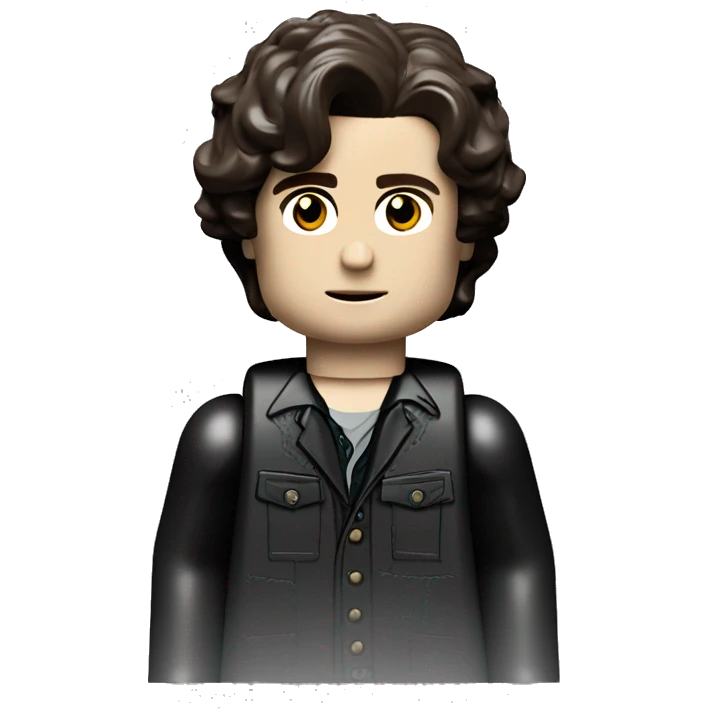TIMOTHÉE CHALAMET lego full body emoji
