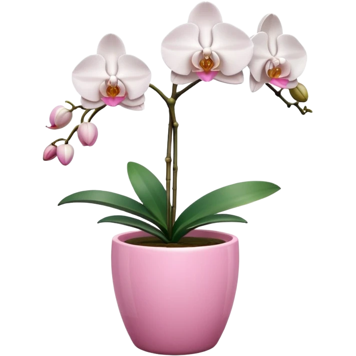 White Orchid in a pink pot emoji