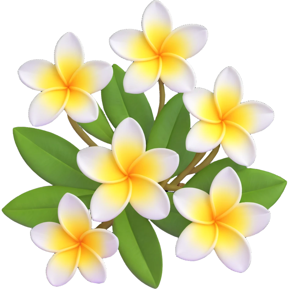 plumeria flower with five white petals and yellow center emoji