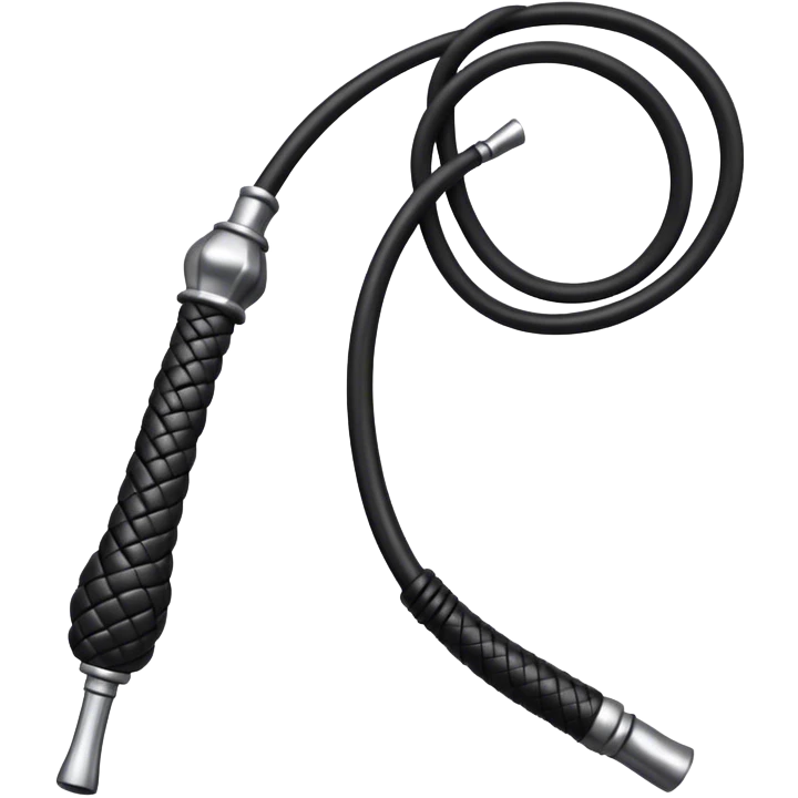 Black leather bull whip emoji