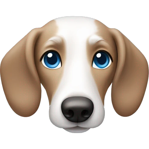 White wiener dog with gray and brown fur on face and bright blue eyes emoji