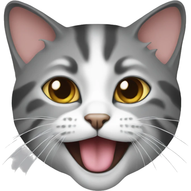 cat on ethereum emoji