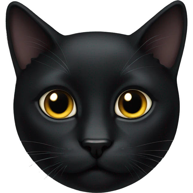 black cat emoji