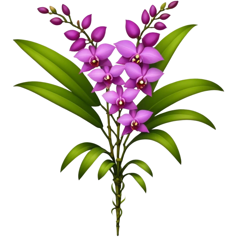 big bouquet Dendrobium Orchid, stem, leaf emoji