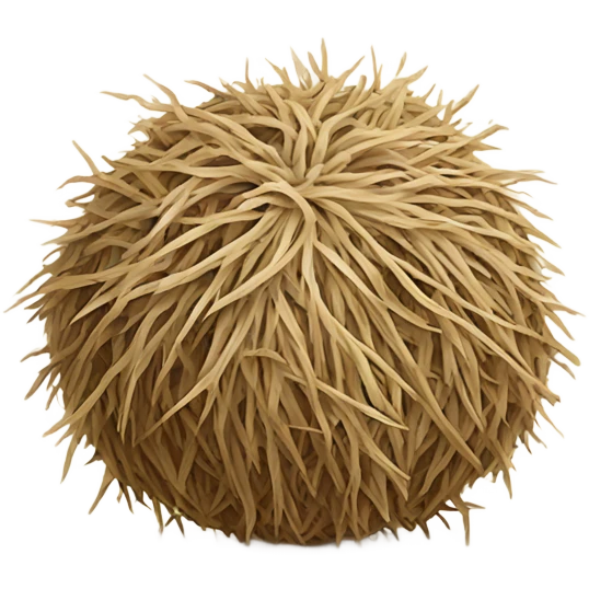 Tumbleweed emoji
