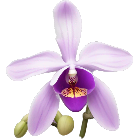 orchid emoji