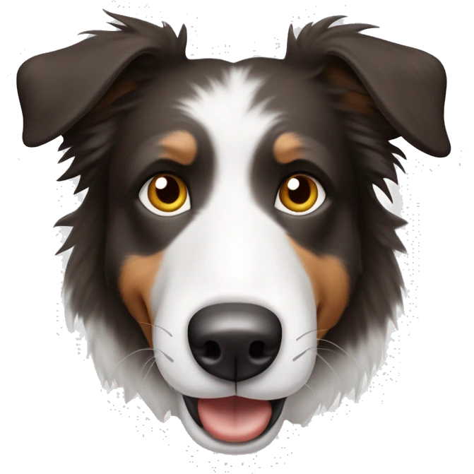 Bordercollie mit braunen und grauen stellen im weißen Gesicht. Spitze Ohren. Ohren weiß und unterer Teil mehr grau und braun  emoji