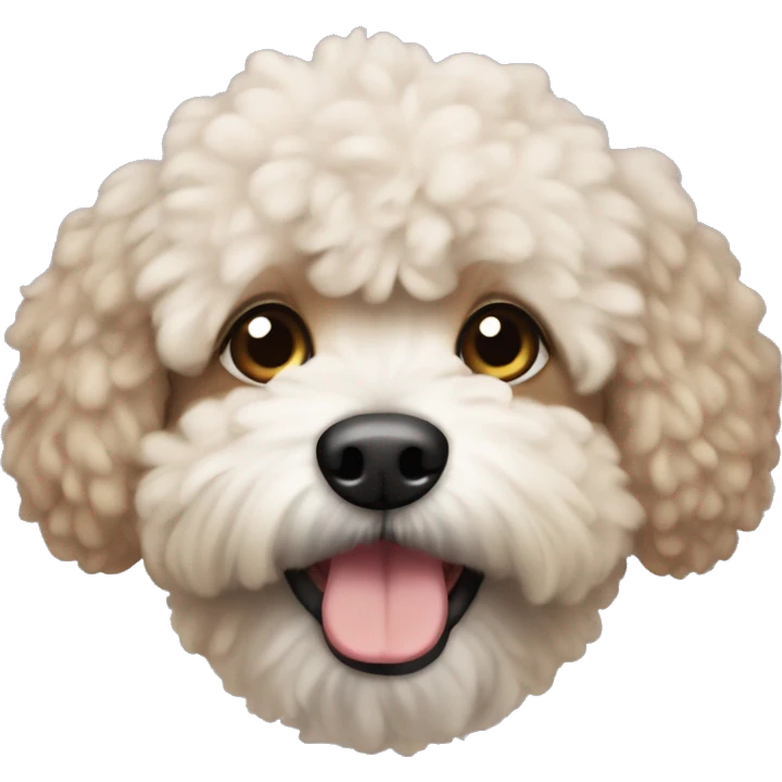 Poochon dog emoji