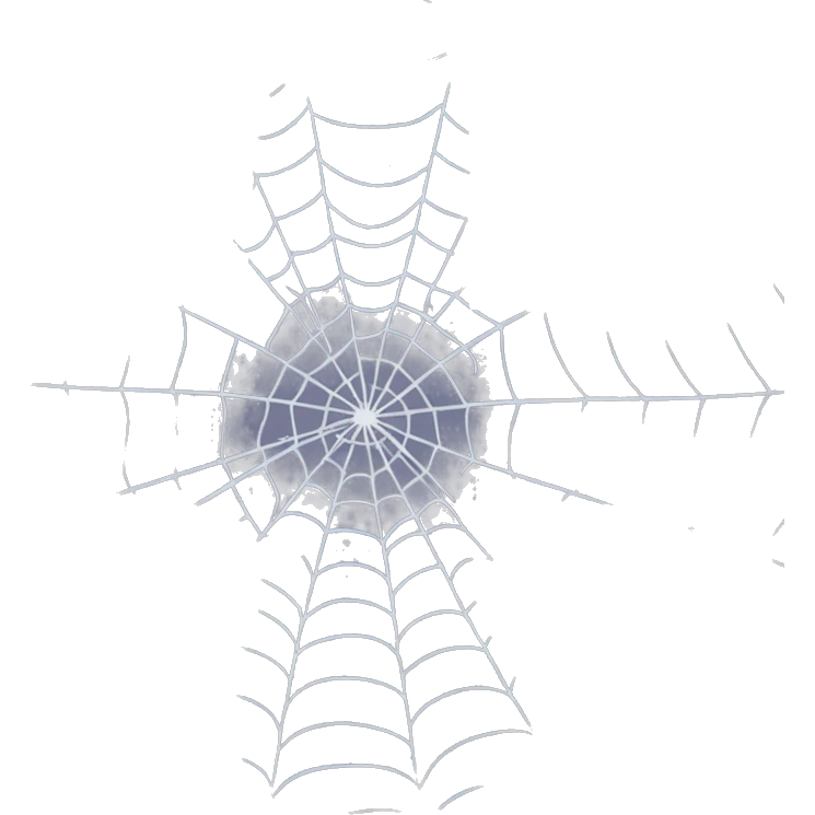 spider web emoji