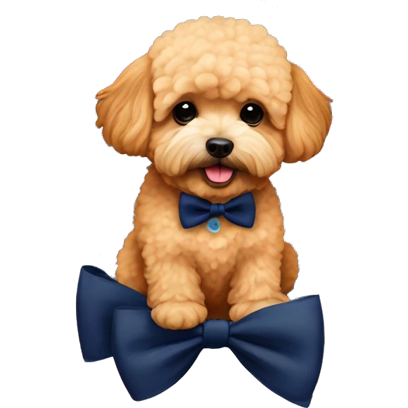 apricot maltipoo sitting on a large pumpkin wearing a navy blue bow tie emoji