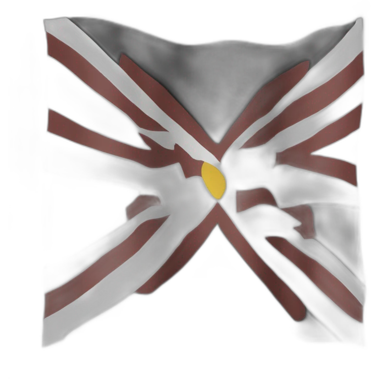 Drapeau rif emoji
